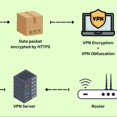 Datensicherheit: Von Google-Suche über HTTPS-Verschlüsselung bis hin zu VPN-Schutz und sicherer Speicherung. Wie eine Orchidee, die ihre Geheimnisse schützt, so schützt die Orchid Crypto Ihre Daten.