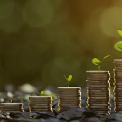 Münzstapel wachsen wie Pflanzen, ein Symbol für den zinses zins, der über Zeit zu Wohlstand führt.