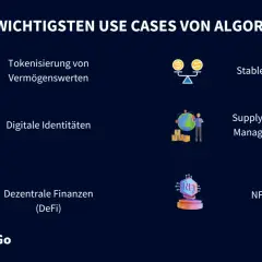 Die wichtigsten Use Cases von Algorand: Tokenisierung, Stablecoins, digitale Identitäten, Supply Chain Management, DeFi und NFTs.
