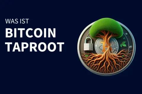 Ein Baum mit Wurzeln, die aus einem Bitcoin-Symbol wachsen, und einem Vorhängeschloss. Das Bild erklärt "Was ist Bitcoin Taproot".