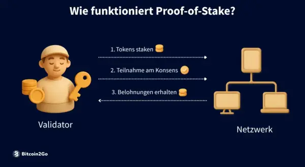 Ein Validator staket Tokens, nimmt am Konsens teil und erhält Belohnungen. So funktioniert Proof-of-Stake.