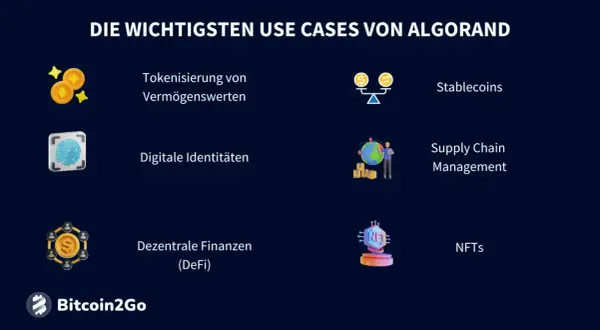 Die wichtigsten Use Cases von Algorand: Tokenisierung, Stablecoins, digitale Identitäten, Supply Chain Management, DeFi und NFTs.