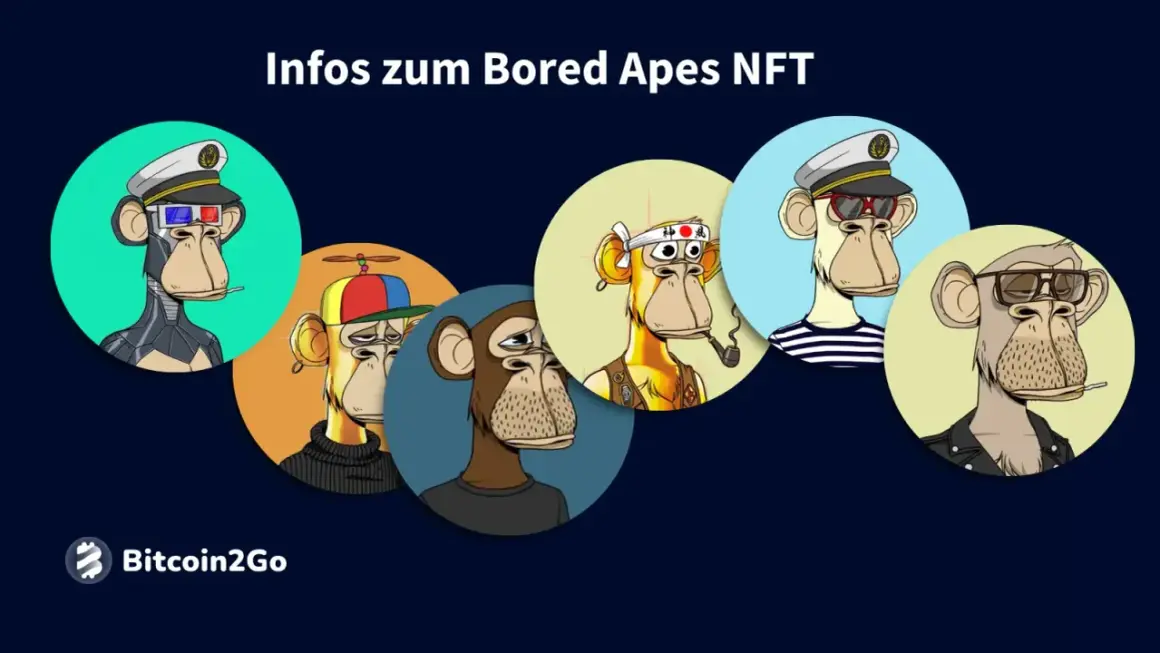 Bored Apes NFTs: Ein visueller Leitfaden, wie man in NFTs investiert. Erfahren Sie mehr über diese digitalen Sammlerstücke.