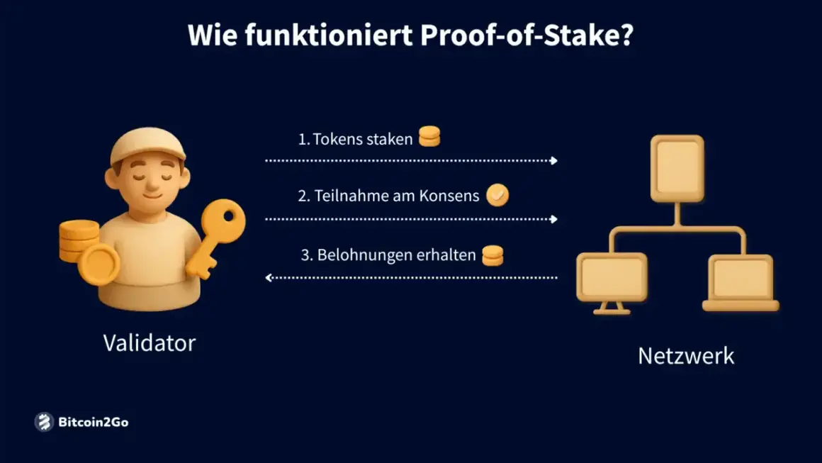 Ein Validator staket Tokens, nimmt am Konsens teil und erhält Belohnungen. So funktioniert Proof-of-Stake.