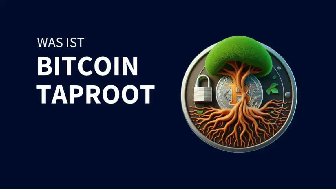 Ein Baum mit Wurzeln, die aus einem Bitcoin-Symbol wachsen, und einem Vorhängeschloss. Das Bild erklärt "Was ist Bitcoin Taproot".