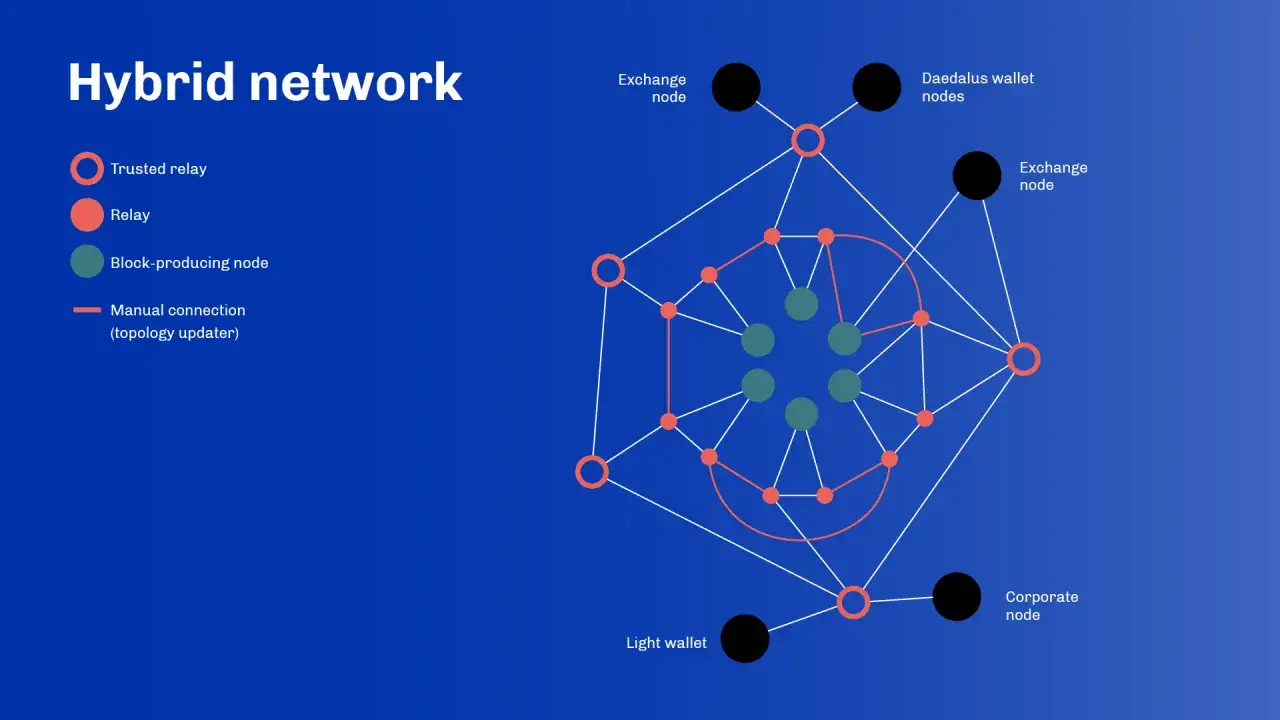 Netzwerkdiagramm zeigt eine hybride Struktur mit verschiedenen Knoten, die über Verbindungen kommunizieren, was ein peer to peer System darstellt.