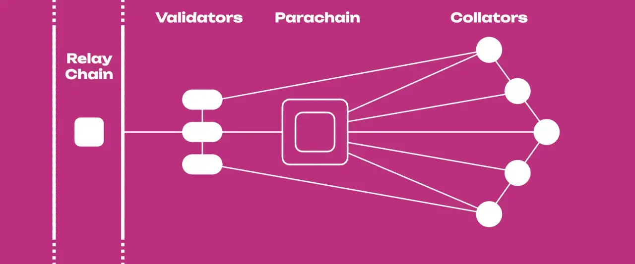 Schema der Polkadot Parachain Auktion: Relay Chain, Validatoren, Parachain und Collators sind verbunden.