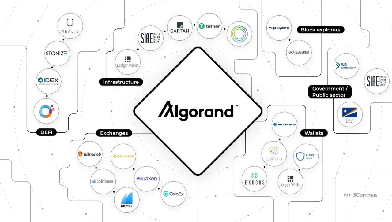 Das &Ouml;kosystem von Algorand: DeFi, B&ouml;rsen, Wallets, Infrastruktur, Block Explorer und staatliche Sektoren. Die algo coin ist zentral.