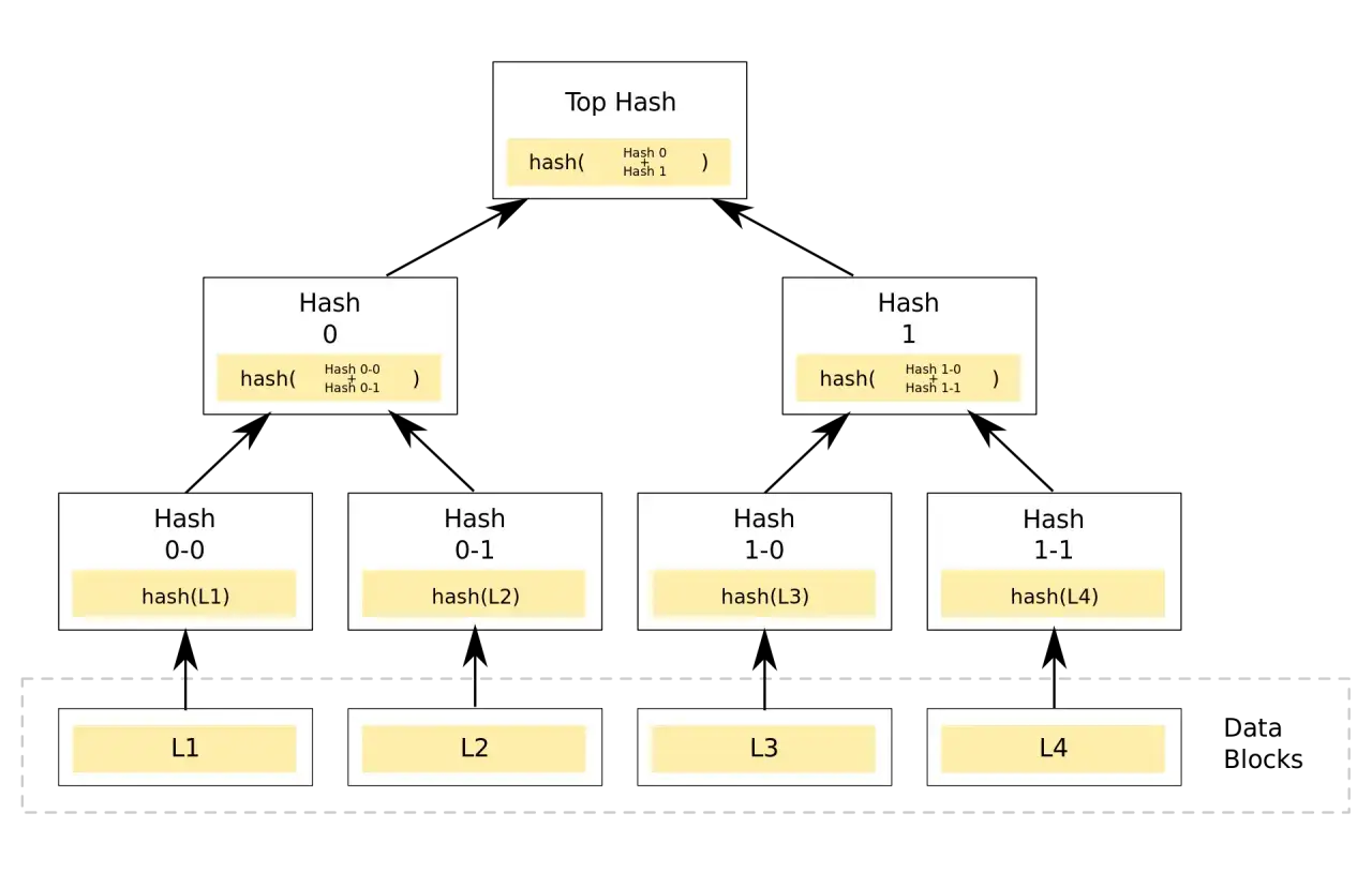 Baumstruktur von Hashes, die die Grundlage für Bitcoin Smart Contracts bildet.