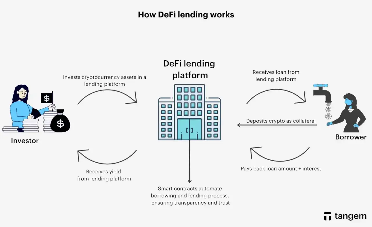 Schema erkl&auml;rt, wie Anleger Kryptow&auml;hrungen einzahlen und Kreditnehmer diese als Sicherheit hinterlegen, um Kredite zu erhalten. Compound finance durch Smart Contracts.