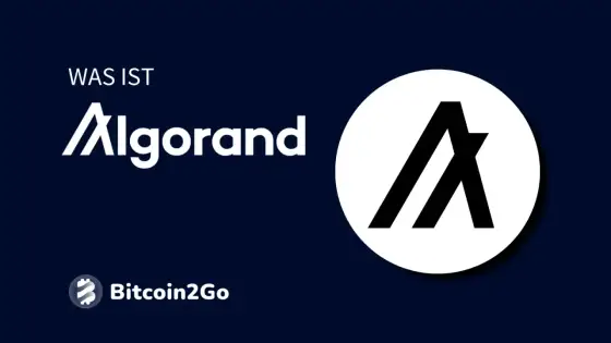 Algo Coin verstehen - Algorand: Nutzen, Technik & Chancen