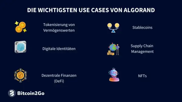 Die wichtigsten Use Cases von Algorand: Tokenisierung, Stablecoins, digitale Identitäten, Supply Chain Management, DeFi und NFTs.